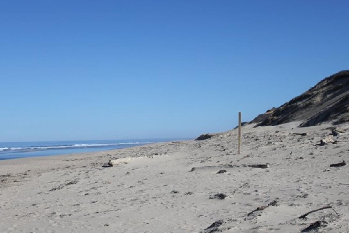 Head of the Meadow Beach Shore
