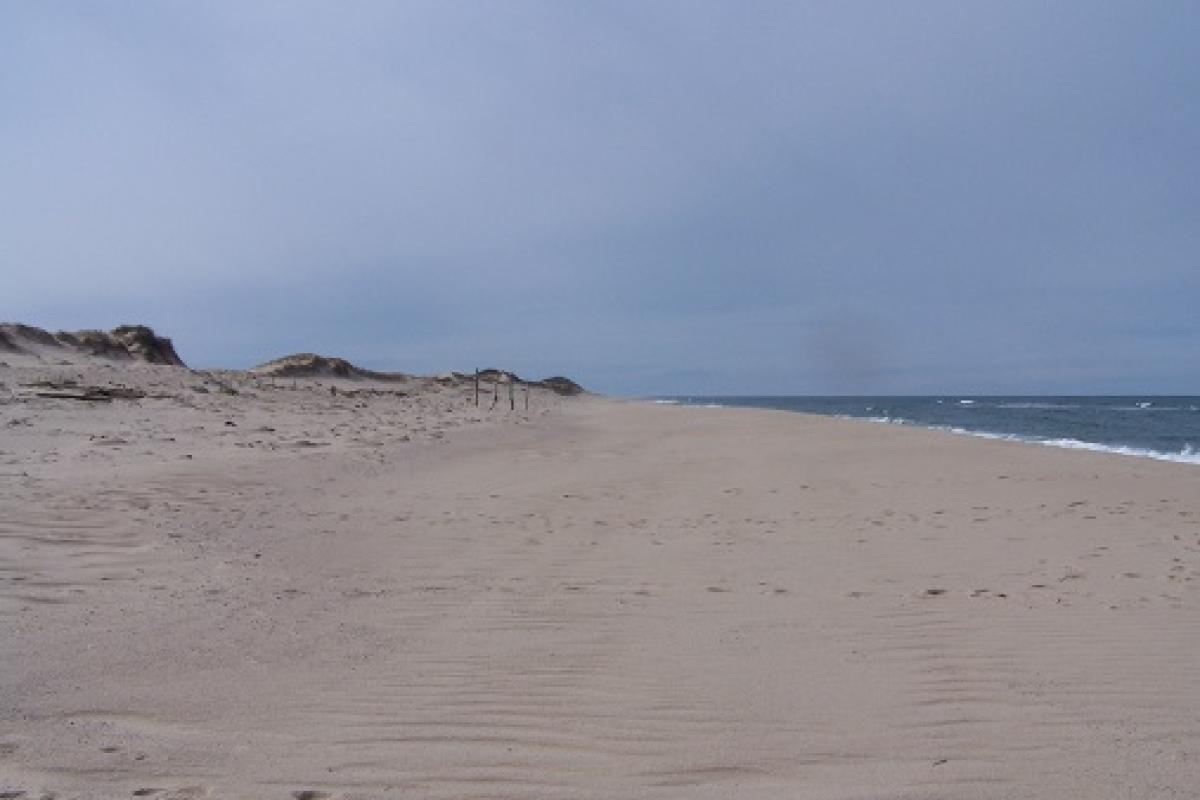 Head of the Meadow Beach