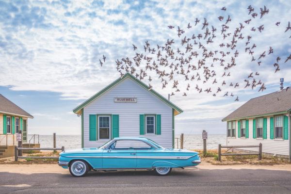 Arts-Briefs-Bluebell-photo-2-Nancy-Bloom-600x400